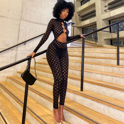 Sexy Hole Cloth Cutout Perspective Zipper Long Bodysuit