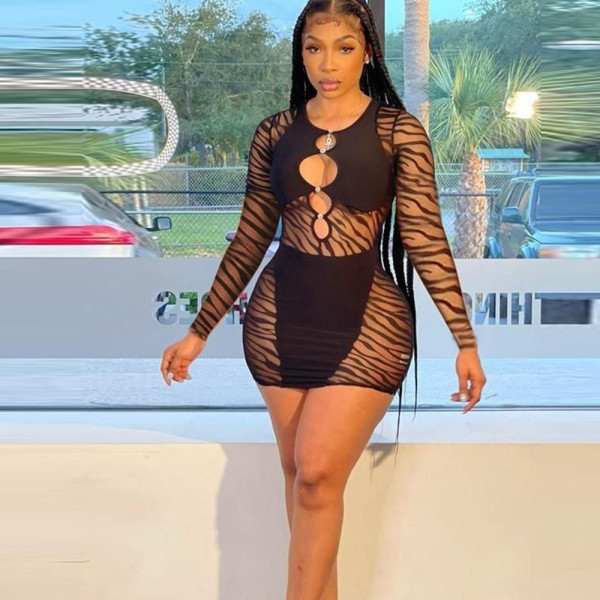 women's new sexy hollow see-through long sleeve dress