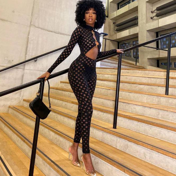 Sexy Hole Cloth Cutout Perspective Zipper Long Bodysuit