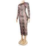 Sexy Slim Fit Striped Print Maxi Dress