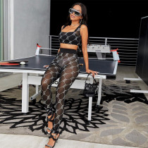 Sexy mesh print two-piece nightclub Sexy mesh print two-piece nightclub