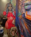 Women's Sexy Hollow Lingerie Sexy Mesh Swimwear Nightclub Dress
