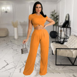 Solid color wide-leg short-sleeved spring and autumn women's two-piece suit