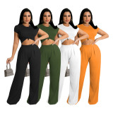 Solid color wide-leg short-sleeved spring and autumn women's two-piece suit