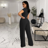 Solid color wide-leg short-sleeved spring and autumn women's two-piece suit