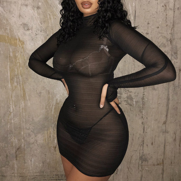 Sexy Mesh Micro Sheer Long Sleeve Slim Short Dress