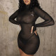 Sexy Mesh Micro Sheer Long Sleeve Slim Short Dress