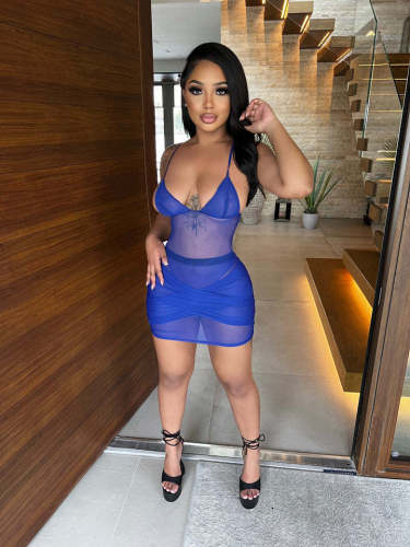 Sexy mesh two-piece skirt suit