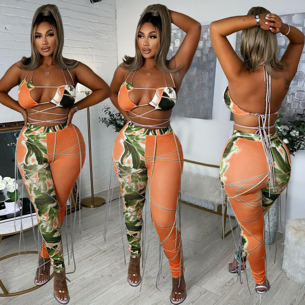 Casual fashion sexy positioning printing spring and summer bikini swimsuit 5 color suit