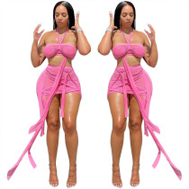 Women's sexy mesh halterneck strappy skirt two-piece set Women's sexy mesh halterneck strappy skirt two-piece set