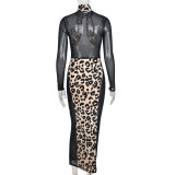 Dress Round Neck See-Through Long Sleeve Contrast Long Dress