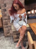 Women's Sexy Hollow Lingerie Sexy Halter Mesh Backless Swimwear Nightclub Dress