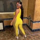 Mesh milk silk paneled jumpsuit