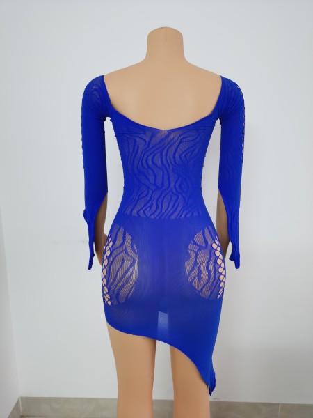 Women's Sexy Hollow Lingerie Sexy Halter Mesh Backless Swimwear Nightclub Dress