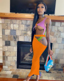 Women's Multicolor Panel One Piece Swimsuit Beach Skirt Set