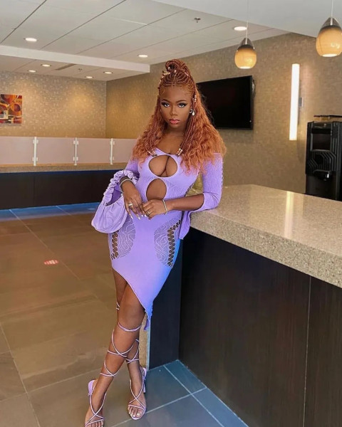 Women's Sexy Hollow Lingerie Sexy Halter Mesh Backless Swimwear Nightclub Dress