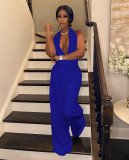halter neck jumpsuit