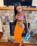Women's Multicolor Panel One Piece Swimsuit Beach Skirt Set