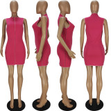 Solid Color Reverse Side Panel Dress