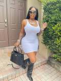 Women's Spring/Summer Camisole Slim Fit Sexy Dress