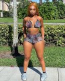 Sexy Fashion Print Burnt Two Piece Set
