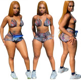 Sexy Fashion Print Burnt Two Piece Set