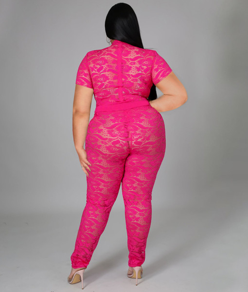 Large size spring and summer short-sleeved see-through nightclub lace two-piece suit