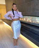 Solid Shiny High Stretch Silk Satin Skirt