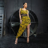 Fashionable and sexy new striped print two-piece set