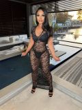 Night show women's sexy see-through short-sleeved hip dress