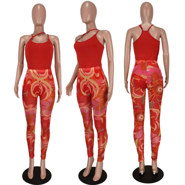 Sexy Fashion Zhigong Wool Mesh Print Two Piece Set
