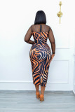 mesh panel print dress