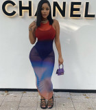 Round Neck Sexy Pack Hip Mesh Print Sleeveless Dress