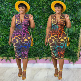 Women's Printed Zip Dress