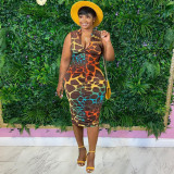 Women's Printed Zip Dress