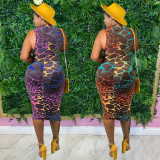Women's Printed Zip Dress