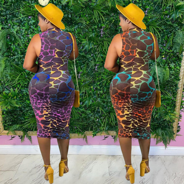 Women's Printed Zip Dress