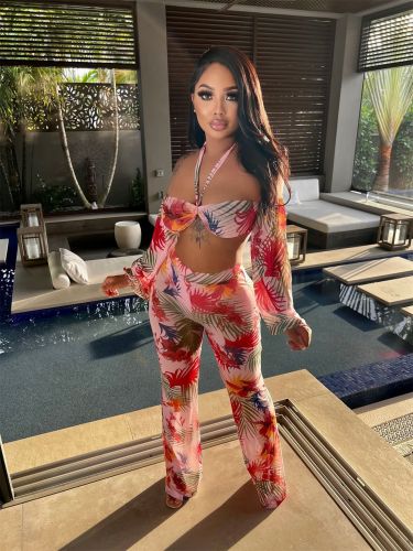 Sexy Sheer Print Sling Straight Pants Two-Piece Set