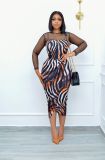 mesh panel print dress