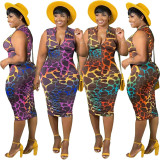 Women's Printed Zip Dress