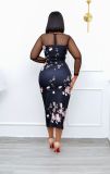 mesh panel print dress