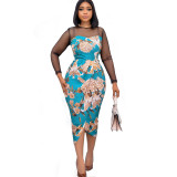 mesh panel print dress