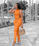 Ladies Sexy Casual Solid Color Round Neck Sleeveless Side Slit Strap Two Piece Set