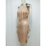 Women's Halter Sleeveless Fringe Panel Slim Fit Summer Casual Sequin Dress