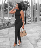 Ladies Sexy Casual Solid Color Round Neck Sleeveless Side Slit Strap Two Piece Set