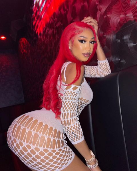 Women's Sexy Hollow Lingerie Sexy Mesh Backless Swimwear Nightclub Dress