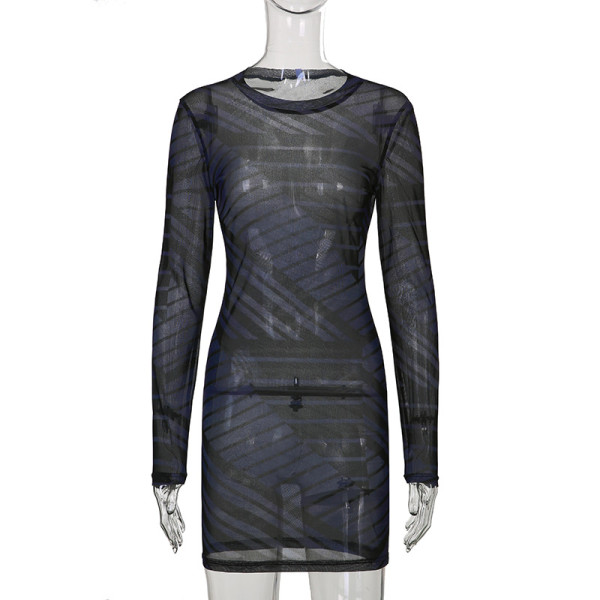 Mesh Print Basic Slim Fit Long Sleeve Dress Short Skirt Spring