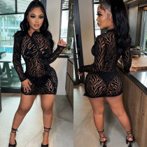 Sexy mesh see-through zipper flocking long sleeve dress women