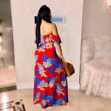 Sexy Print Tube Top Suit
