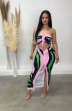 Women's Sexy Fashion Print Dress